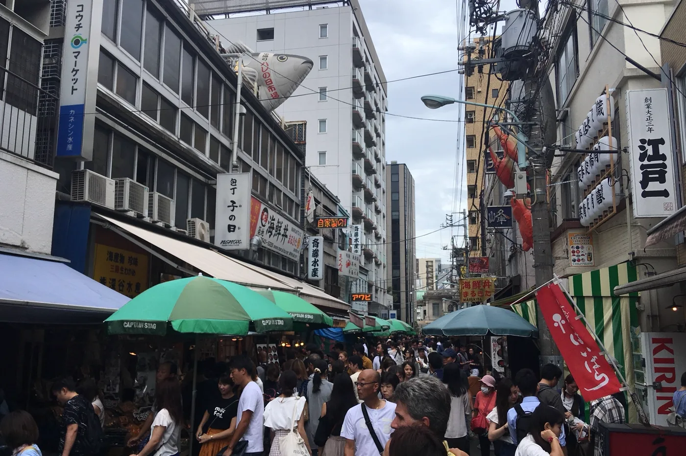 ตลาดนอกสึกิจิ โตเกียว