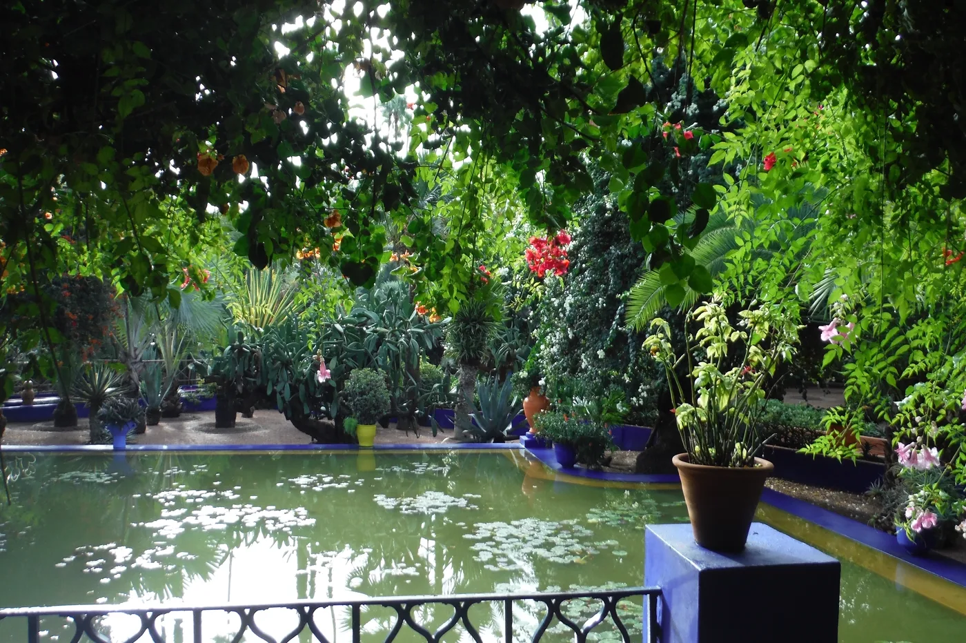 สวนมาฌอแรล เมืองมาร์ราเกช
