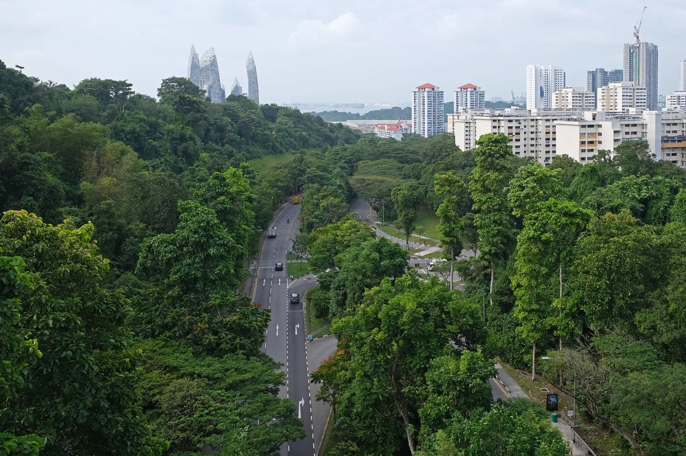 สะพานเฮนเดอร์สัน เวฟส์ สิงคโปร์
